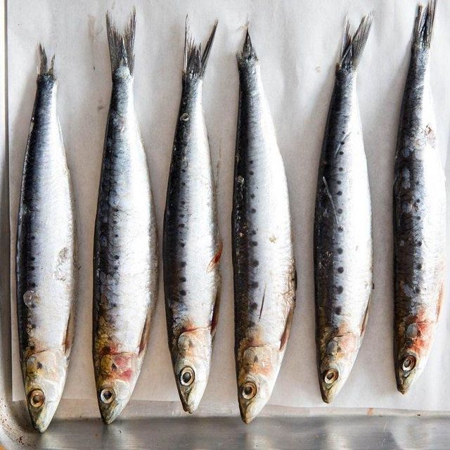High Quality Frozen Whole Sardine Fish Natural Flavor Seafood Product For Wholesale Buyers Restaurants - Image 1