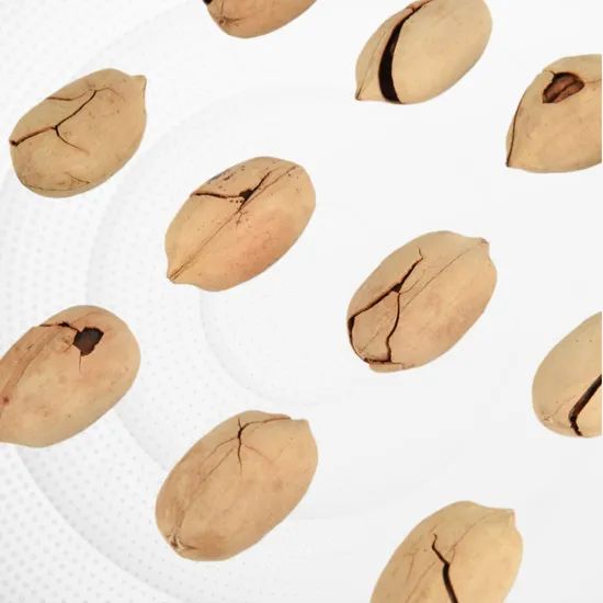 Hot Sales Nutritious High Quality Pecan - Image 4