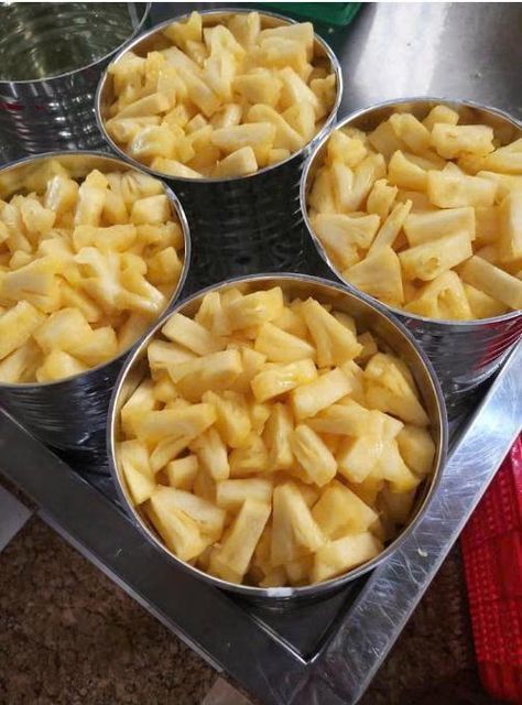 Premium Canned Pineapple Slices Chunks Tidbits in Syrup Bulk Packing for Wholesale Export - Image 1