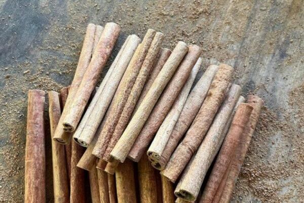 Cinnamon - Image 4
