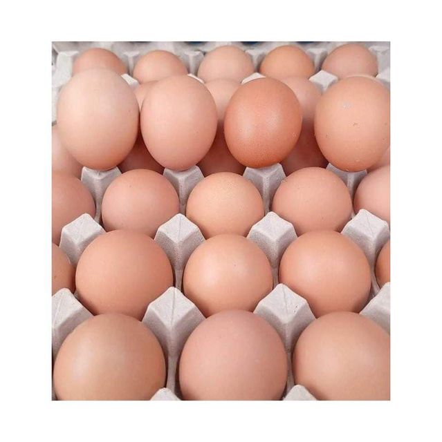Premium fresh brown eggs offered in wholesale lots for global buyers - Image 3