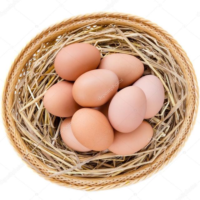 Export Ready Fresh Table Chicken Eggs Carefully Packed Chicken Eggs Supporting Reliable Supply For Global Trade - Image 4