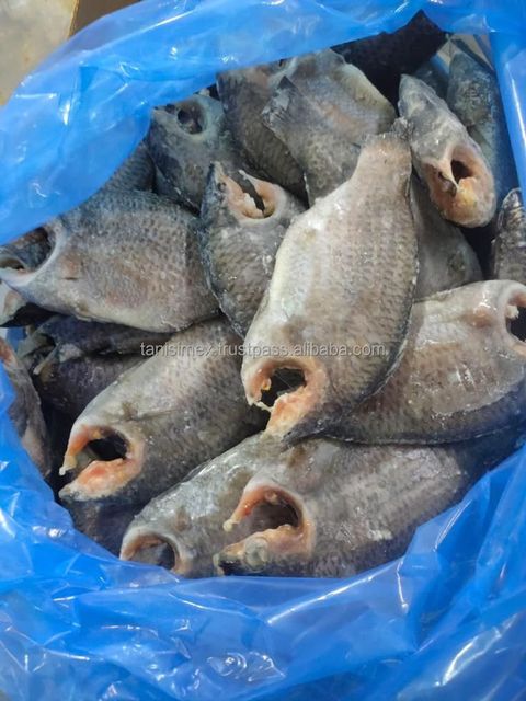 Wholesale Supply Frozen Black Tilapia Cold Storage with high natural taste - Image 4