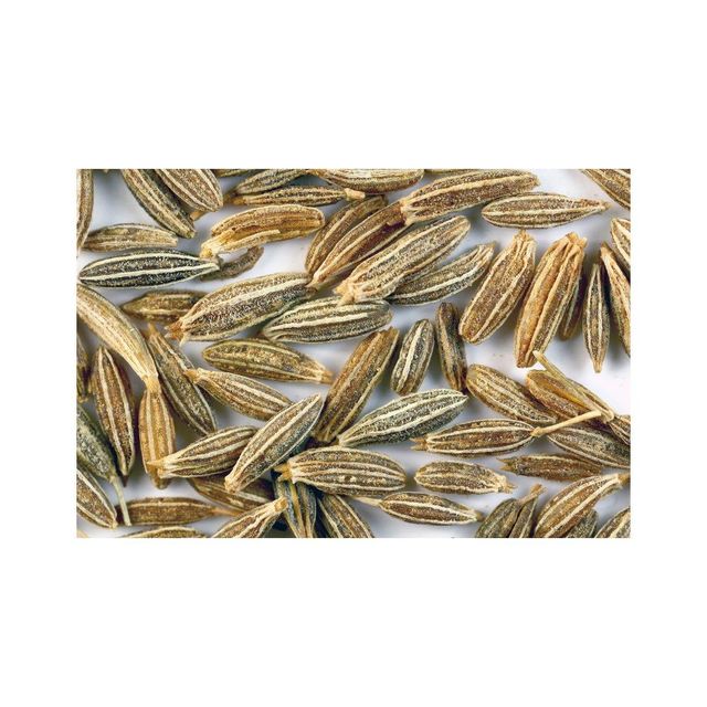 Factory Direct Tianbai Premium Cumin Seeds - Natural Meat Seasoning Spice with Digestive Ease, Low MOQ & OEM Bulk Organic Black Green Dried Whole Cumin Seeds for Herb and Spices Bulk Organic Black Green Dried Whole Cumin Seeds for Herb and Spices - Image 3
