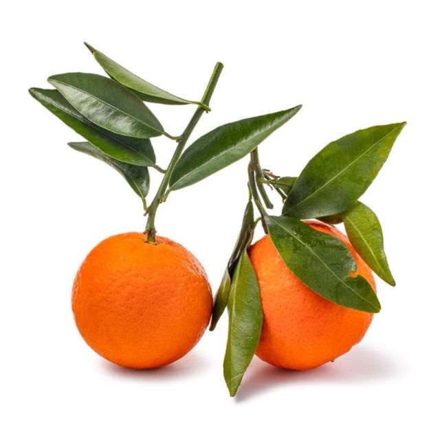 Fresh Mandarin Farm Fresh Citrus Fruit Featuring High Natural Sugar Content And Up To 98% Premium Fruit Selection - Image 3