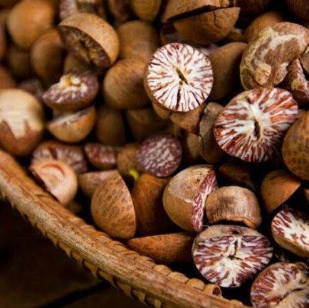High Quality Raw Betel Nuts Carefully Packed Fresh Natural Product Ideal For Wholesale Buyers And Retail Stores - Image 2