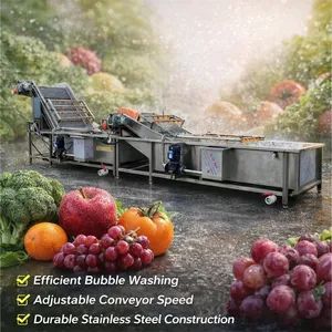 304 Stainless Steel Bubble Vegetable Fruit Washer Automatic Cleaning Machine for Food Processing Industry - Image 1