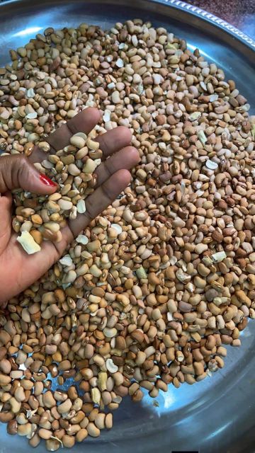 Dried Nigerian Brown Beans/Honey Beans/Drum Beans - Image 3