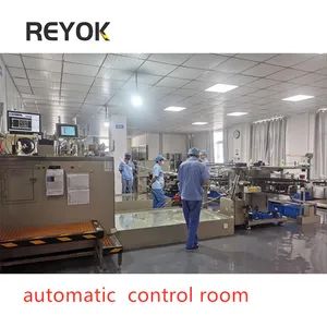 Car Automobile Aluminum Alloy Wheel Electroplating Machine Plating Production Line - Image 5