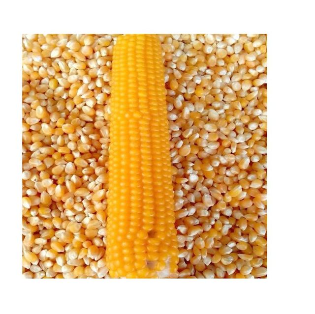 Brazilian Agricultural Productsfrozenchickenexports.com - Image 4