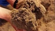 Fishmeal 60% Salinity 3% Max Tvbn Level 130 Max Ash Content 25% Max TVBN Content 130 Max Sand Content 0.5% Max Protein C - Image 3