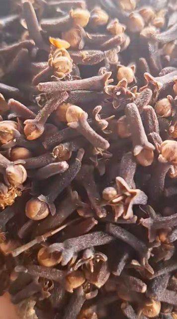 Lalpari Clove - Image 4
