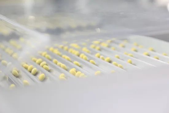 Automatic Tablet Capsule Counter/Capsule Counting Machine/Capsule Counter - Image 3