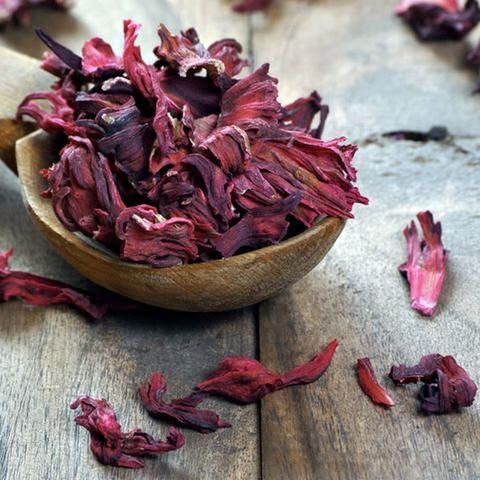 Hibiscus - Image 1
