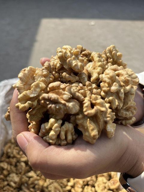 Hand Selected Light Walnut Kernel Bulk Supplier High Oil Premium Export Quality - Image 4