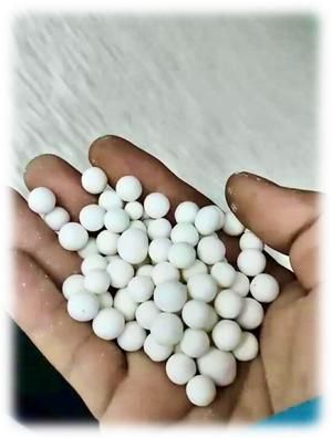 Tapioca Pearl Making Machine - Image 5
