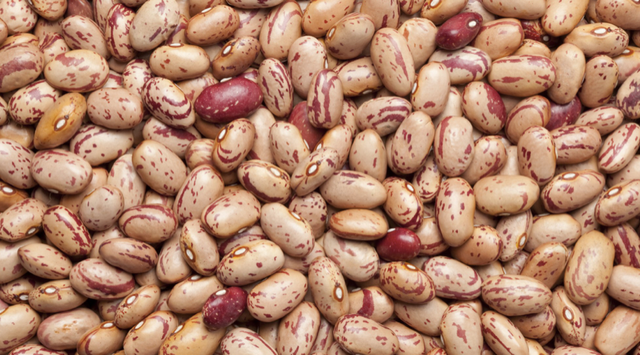 Organic Red Kidney Beans - Image 3