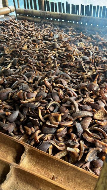 Copra Origin Indonesia Features Organic Impurity Level Low Oil Content Good, Standard Broken Percentage Higher, - Image 3