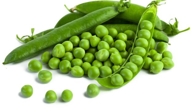 Premium Quality Food Grade Green Pigeon Peas Wholesale Bulk Style Storage Packing and Packaging ready for export - Image 3