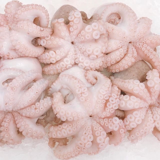 Frozen Fresh Octopus Hygienically Handled And Frozen For Fresh Flavor Integrity Supporting Professional Seafood Supply - Image 4