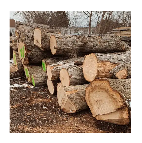Hot Sale Price Of Oak Timber LOGS | Oak Wood Round Logs For Sale - Image 3