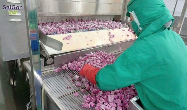 Frozen IQF Diced & Sliced - Red & White Flesh Dragon Fruit - Image 3