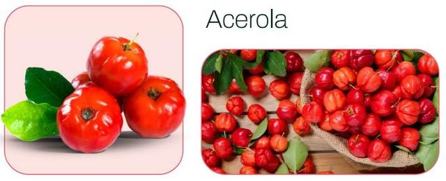 Frozen Acerola Pulp NFC Color Red Drum Net Weight 170 Kg Place of Origin Brazil Storage Temperature -18°c Total 40' Net Weight 23.800 Kg - Image 2
