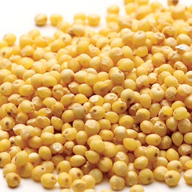 Premium Sorghum Grain With High Nutrient Content And Safe Processing For Global Trade Markets - Image 3