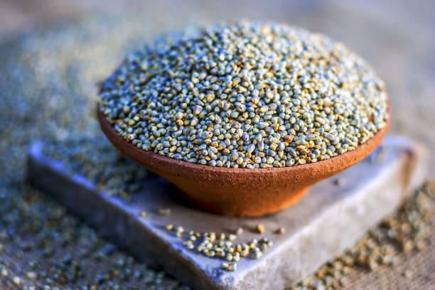 pearl millet Origin India Features Gluten-Free, Lactose-Free, Vegan Product Type Cereal, Cereals & Cereal Products - Image 1