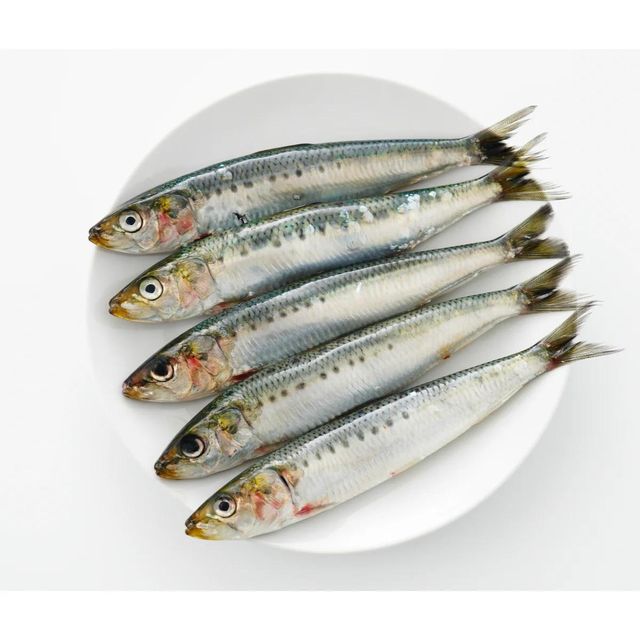 Frozen Sardine Fish Premium Whole Round Selection For Bulk Food Supply With Natural Freshness And Reliable Quality - Image 3
