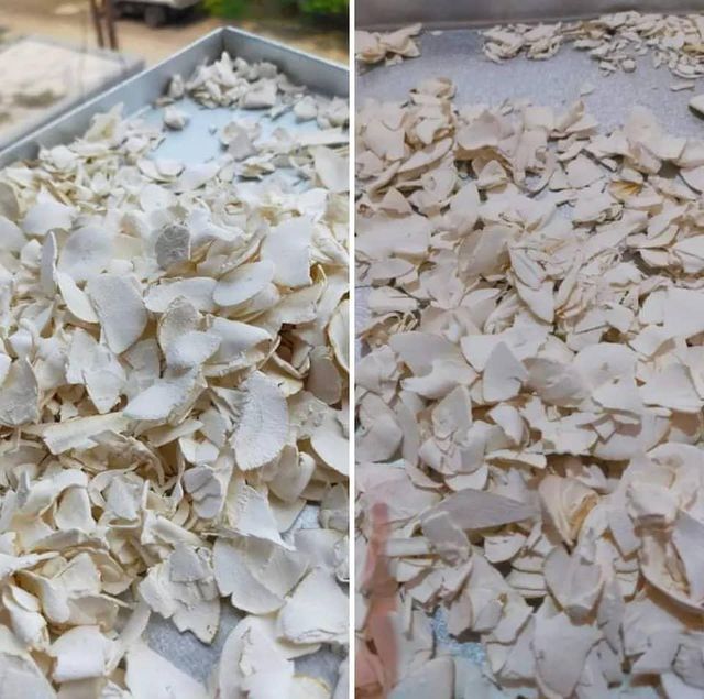 Top Quality Pure Fresh Vegetables Cassava For Sale At Cheapest Wholesale Price - Image 3