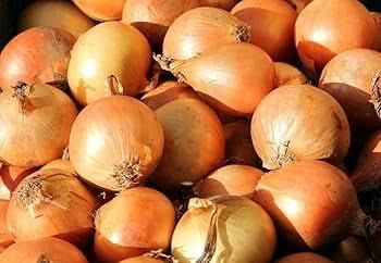 Fresh Yellow Onions Good Price Natural Healthy Onions Wholesale - Image 2