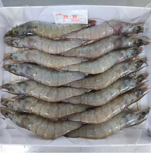 Frozen Vannamei Shrimp HOSO Grade A - Image 1