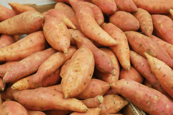 Fresh Sweet Potato - Image 1