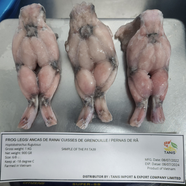 Hot product for wholesales frozen frog legs From Vietnam farm - Image 2