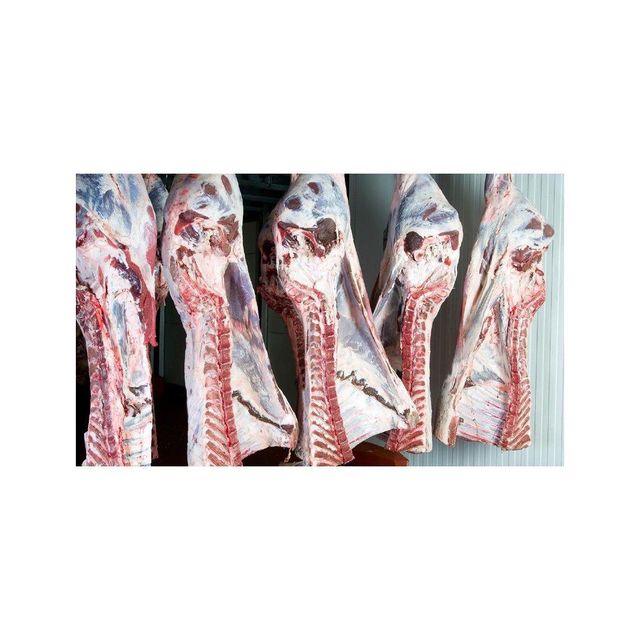 Beef Wholesale Frozen Beef Meat Carcass 4 Way Cuts HALAL FROZEN - Image 4