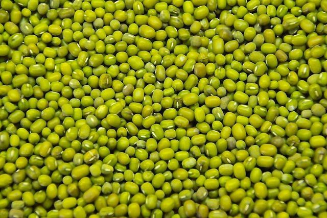 Green Mung Beans - Image 2