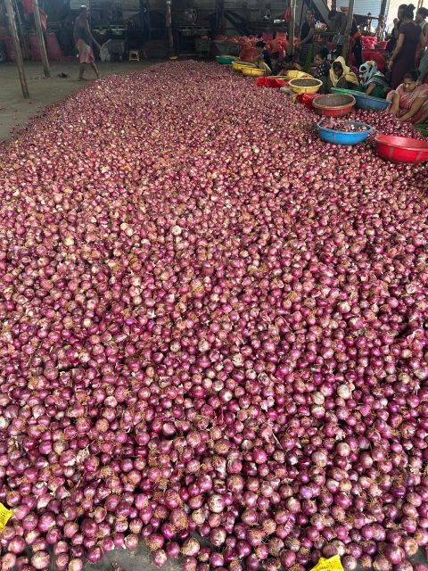PREMIUM INDIAN ONION - Image 3