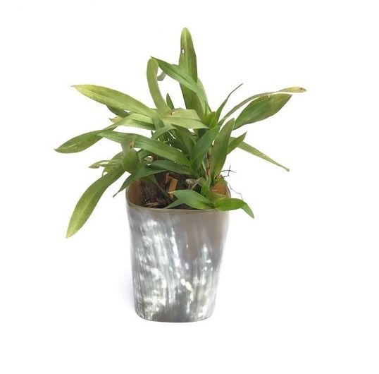 Horn Flowers Vases Large Size Desktop Decoration Vase Simple Hand Made Stone At reasonable rate - Image 3