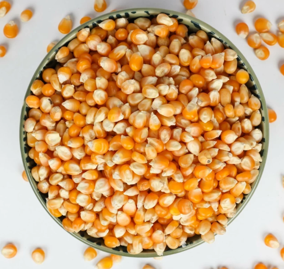 Fresh Premium Grade Yellow Corn 100% Pure Natural OEM/ODM Services Available Discount Price for Bulk Supply Catering Wholesale - Image 5