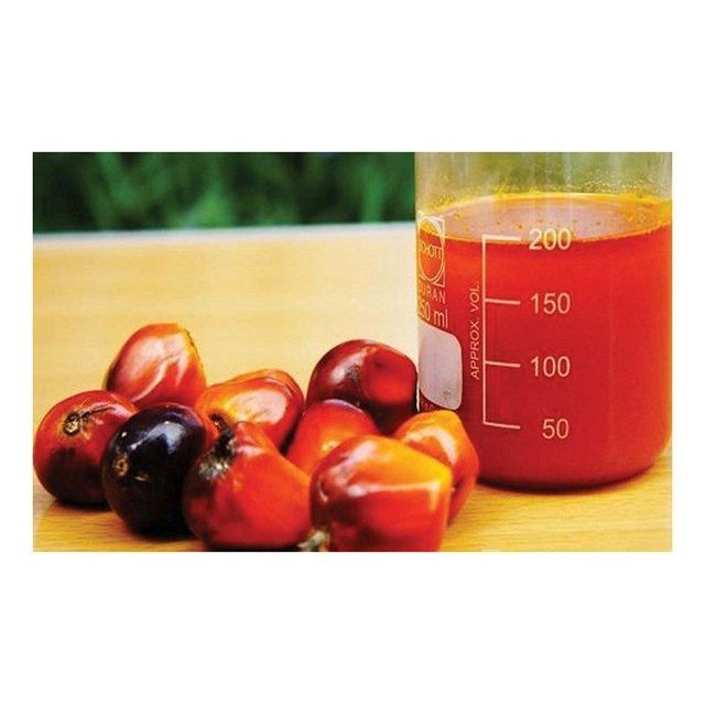 Red Palm Oil / Refined Palm Oil / Palm Kernel Oil For Sale Palm Oil Factory Supply Food Grade Palm Cooking Oil - Image 1