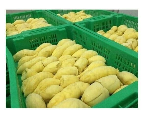 FROZEN WHOLE DURIAN Total Cartons 1250 Type Ri6 High Grade Packaging 13kgs/carton Fob Price 82,800.00 Usd Storage Temperature -18'C - Image 3