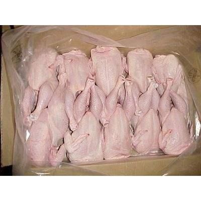 Halal Frozen Chicken Feet & Paws for sale  – product photo 3, product detail gallery