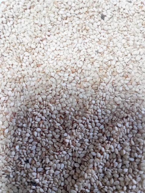Premium Natural White Sesame Seeds - Image 1