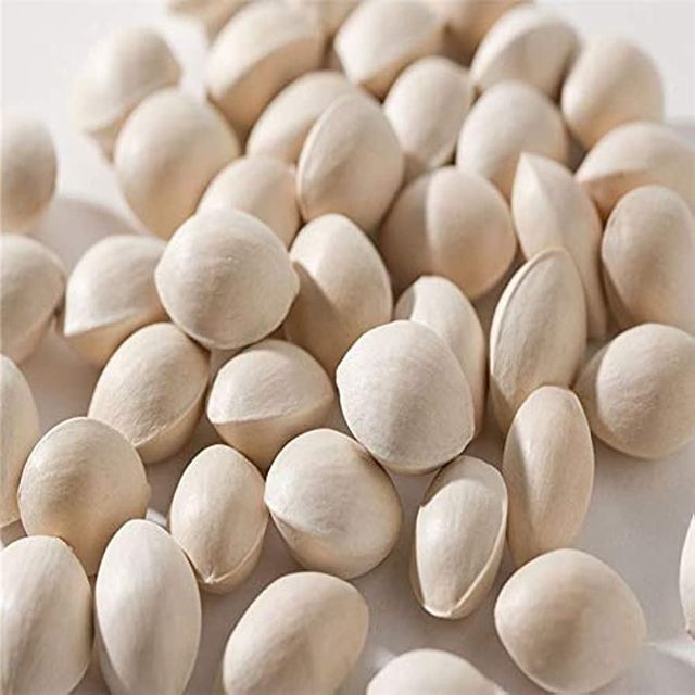 Ginkgo Nuts Premium Harvest Collection With Uniform Shape And Natural Aroma For Ingredient Import Distribution - Image 2