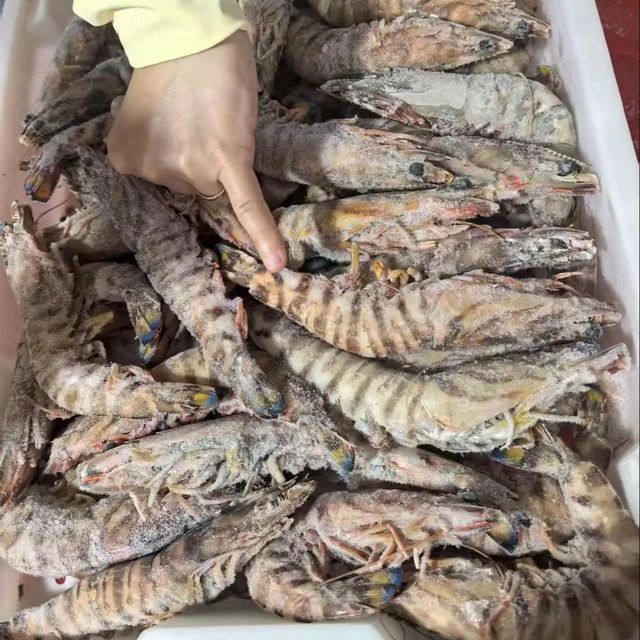 Frozen Prawns Premium Size Graded Seafood Product For International Seafood Supply And Long Distance Cold Transport - Image 4