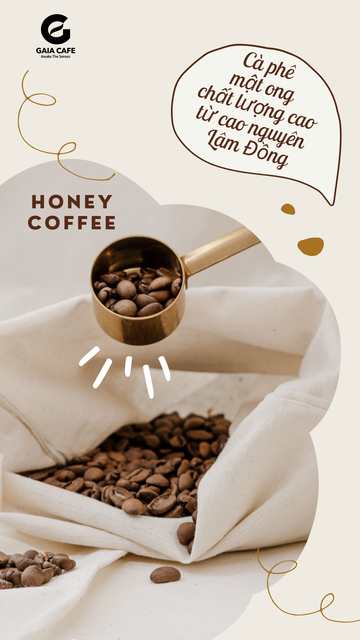 Roasted Custom Blend Bold Sweet aftertaste Flavor Dark Roasted Vietnamese Coffee Beans Blend Arabica and Fine Robusta - Image 5