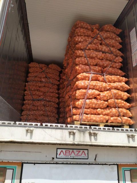 onion - Image 4
