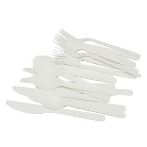 Compostable Heavyweight Disposable Cpla Spoons Eco Friendly Compostable Spoons - Image 3