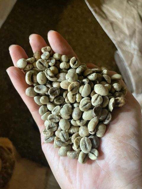 Vietnam Robusta Green Coffee Beans - High Quality Robusta Coffee good price by Vietnam WhatsApp +84 354987203 (Ms.Mie) – product photo 5, product detail gallery